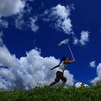 夏の外遊びをする子どもに気をつけてあげたい5つのこと