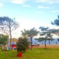 東京ドイツ村の口コミ情報!子連れで思いっきり遊べるよ! 東京ドイツ村の口コミ情報!子連れで思いっきり遊べるよ!