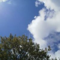 不登校…小学生への対応は？1年生の不登校を克服した事例