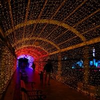 時之栖イルミネーション|がっかりしないためにこのコツをおさえて! 時之栖イルミネーション|がっかりしないためにこのコツをおさえて!